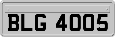 BLG4005