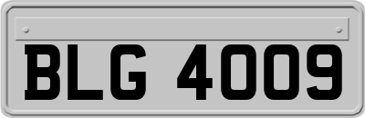 BLG4009
