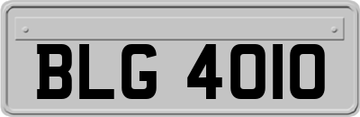BLG4010