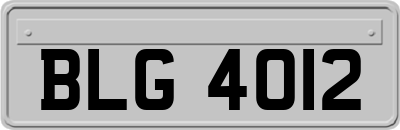 BLG4012