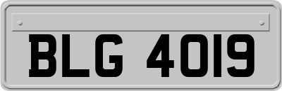 BLG4019
