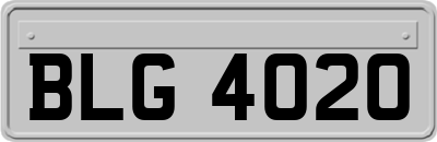 BLG4020