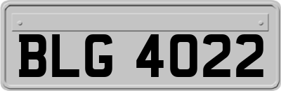 BLG4022