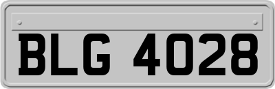 BLG4028