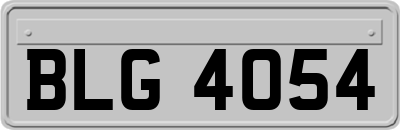 BLG4054