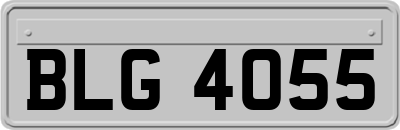 BLG4055