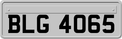 BLG4065