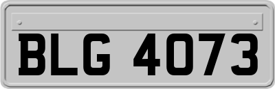 BLG4073