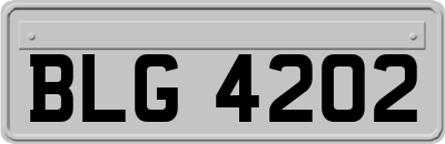 BLG4202