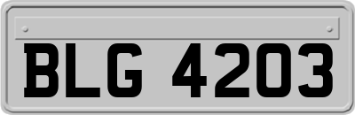 BLG4203