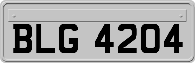 BLG4204