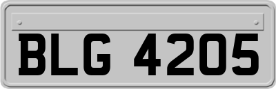BLG4205