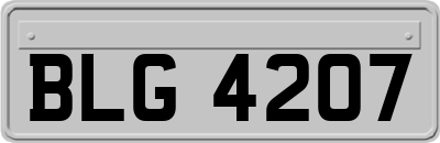 BLG4207