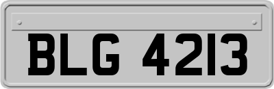 BLG4213