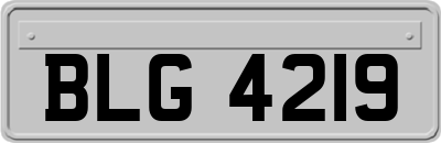 BLG4219