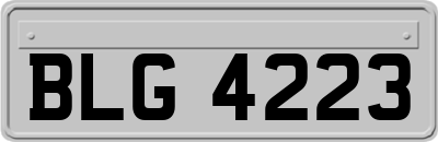 BLG4223