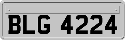 BLG4224