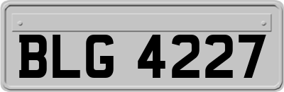 BLG4227