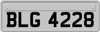 BLG4228