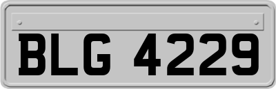 BLG4229