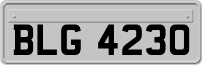 BLG4230
