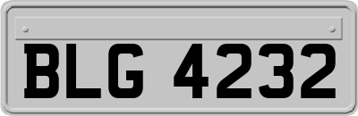 BLG4232