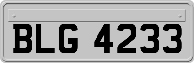 BLG4233