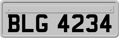 BLG4234