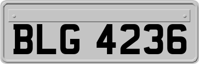 BLG4236