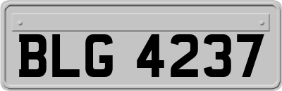 BLG4237