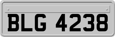 BLG4238