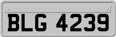 BLG4239
