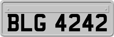 BLG4242