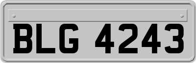 BLG4243