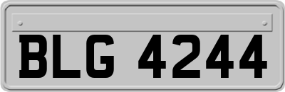 BLG4244