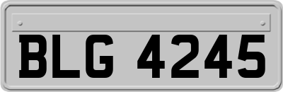 BLG4245