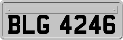 BLG4246