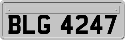 BLG4247