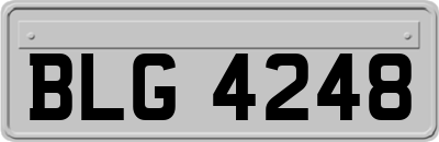BLG4248