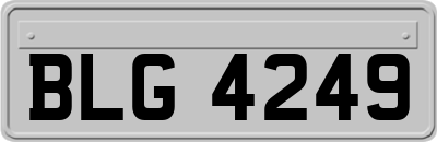 BLG4249