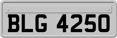BLG4250