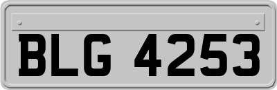 BLG4253