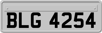 BLG4254
