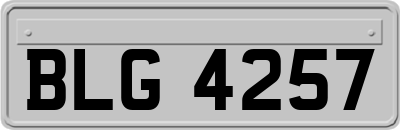 BLG4257