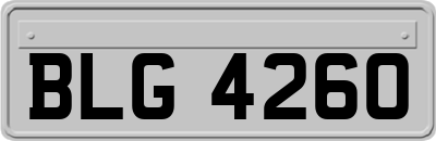 BLG4260