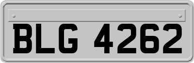 BLG4262
