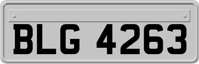 BLG4263