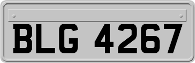 BLG4267