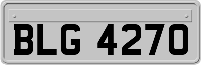 BLG4270