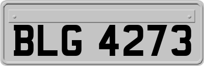 BLG4273